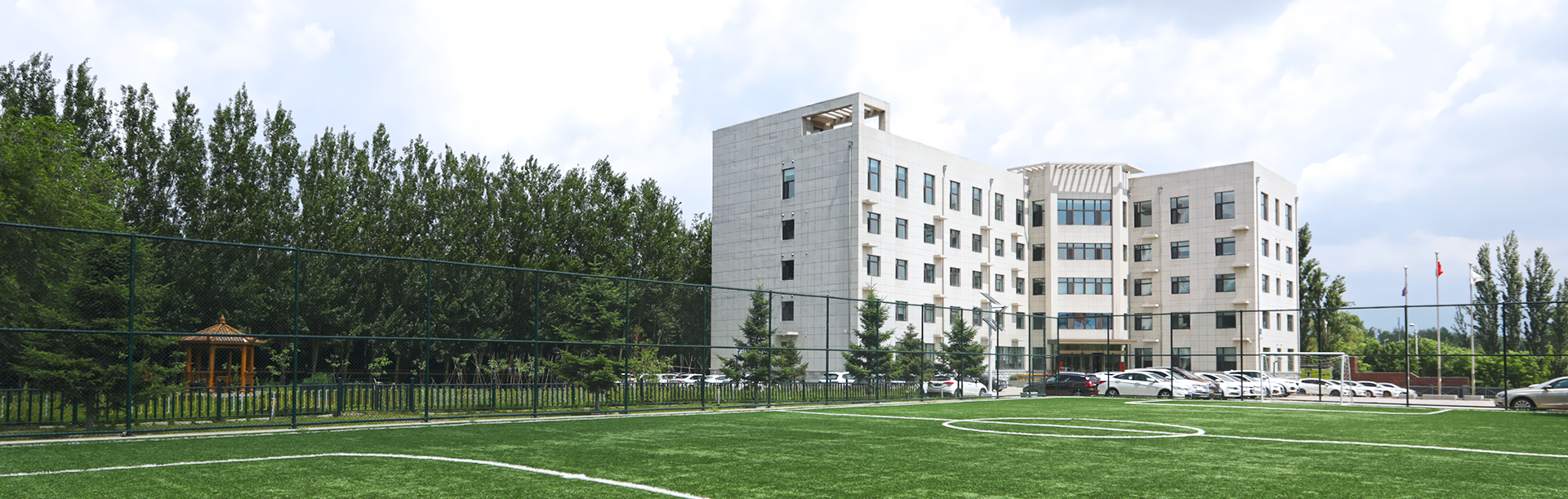 365��������_365�������޹���